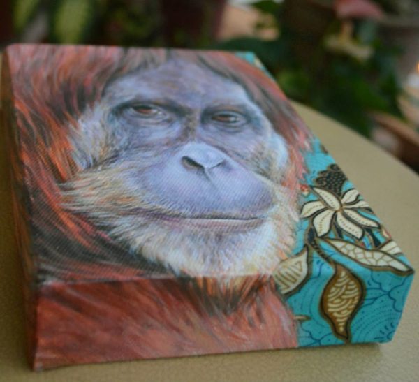 Portrait of Borneo by tikka Hun_orangutan