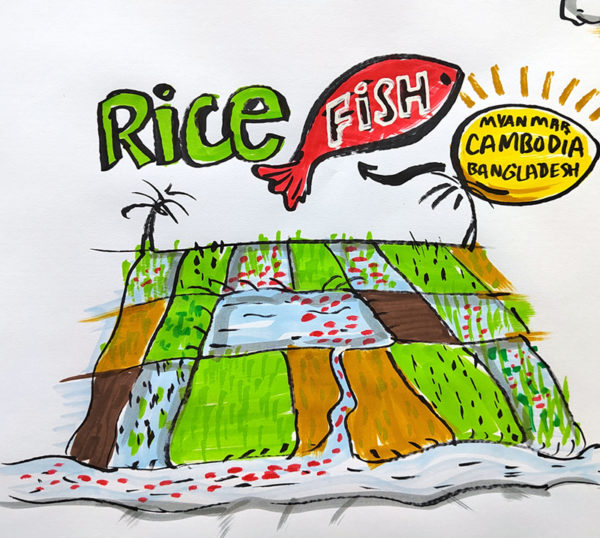 CGIAR worldfish