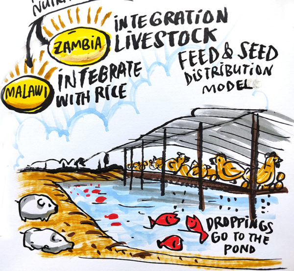 CGIAR WorldFish